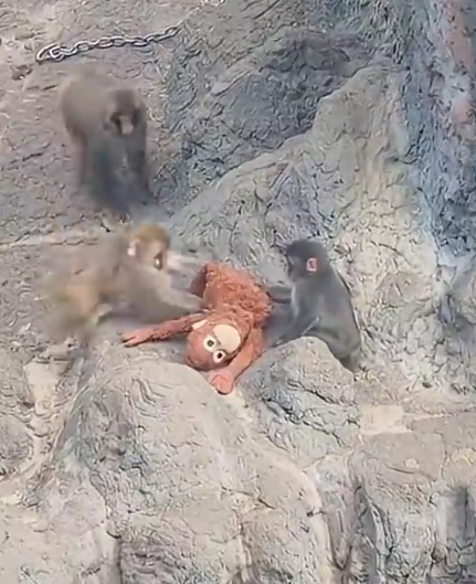 Please clarify if this is just a cruel AI that’s crying while watching; how pathetic if it’s real