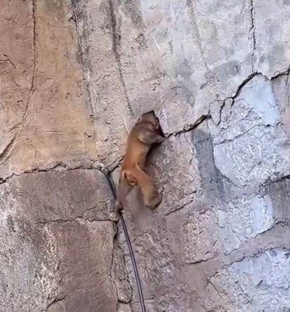 Mom is like hell no, not today. I’m gonna eat in peace