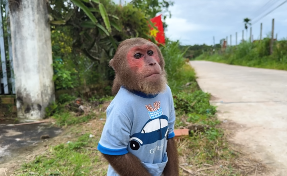 Best moment! CUTIS takes care of family in the most surprising special way