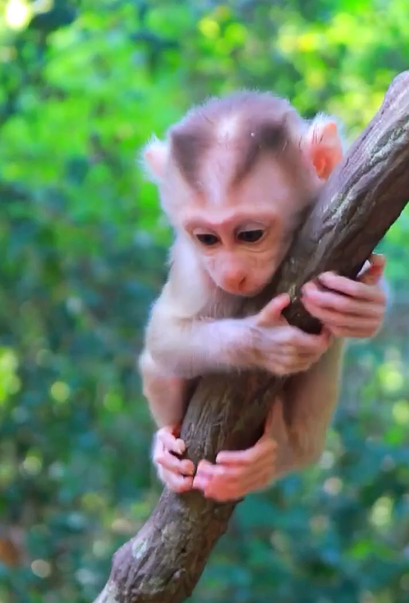 You’re So Lovely, It Hurts My Heart 😊❤