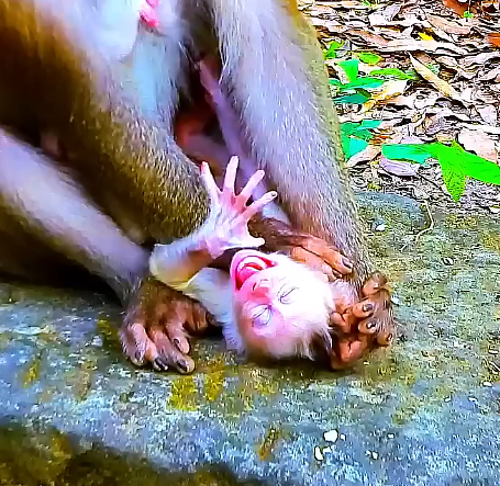 Don’t Do That, Mommy 🖤💔😭