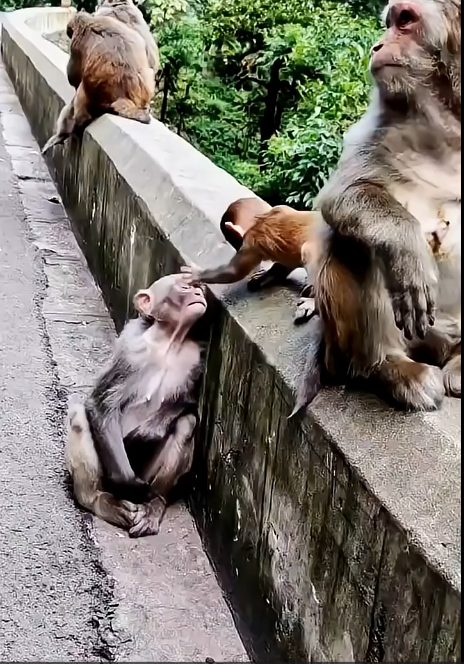 The Mother Held Them Tighter