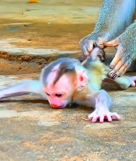 They Are Very Resentful When Their Mother Rejects Them or Hits Them