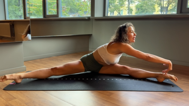 Quick Workout in the Gym. Chebyjane