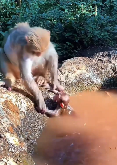 Every Small Life Deserves Love and Warmth. When They Are Hurt or Scared, I Choose to Help. ❤️