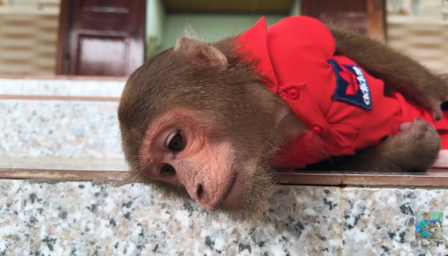 Unbelievable! Yen Nhi Secret Sneaky Do Unexpected for CUTIS in Cold Winter