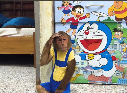 OMG what happened Cutis & Mom worriedly panic take care special to Dad